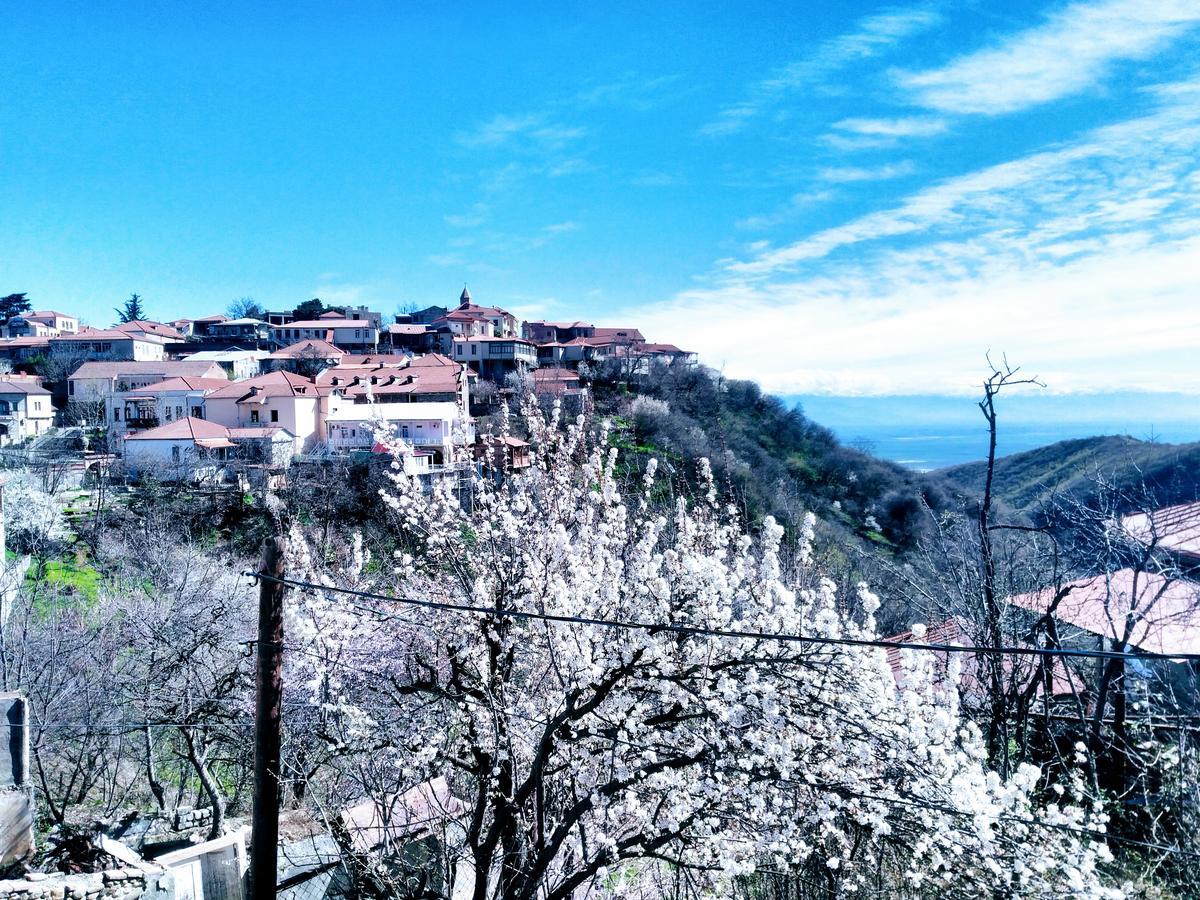 Three Gracia Hotel Sighnaghi Exterior photo